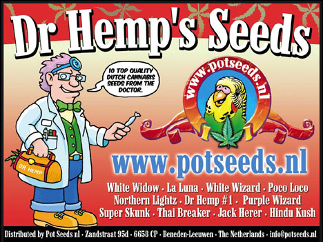 Dr Hemp's Seeds