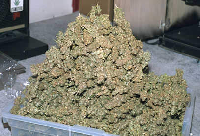 Cannabis from Illinois, USA.