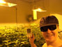 A grow room somewhere in South West England.